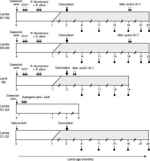 FIG. 1.