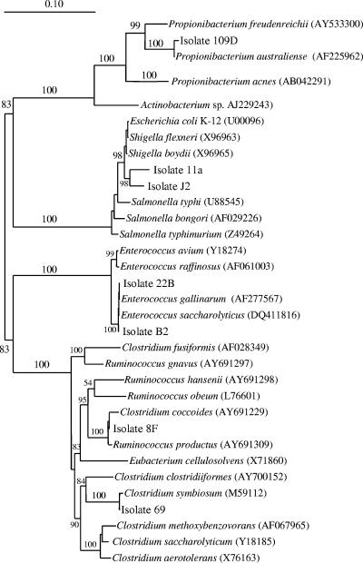 FIG. 7.