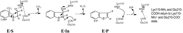 Scheme 2.