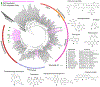 Fig. 1.