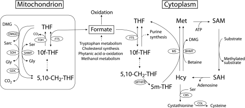 Fig. 2.