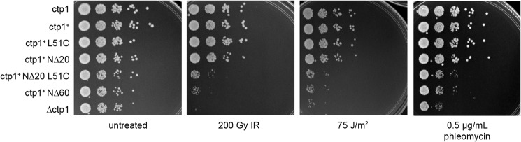 Figure 5.