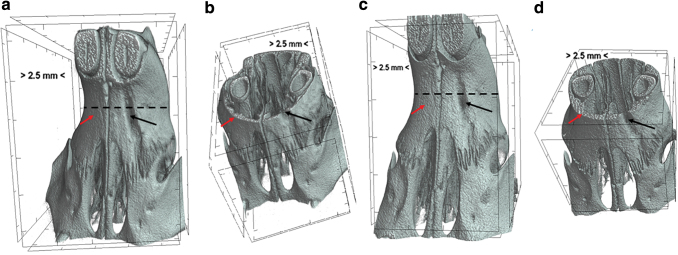 FIG. 2.