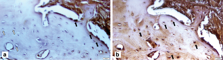 FIG. 7.