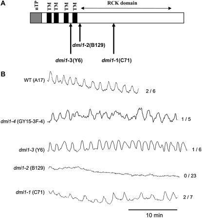 Figure 1.