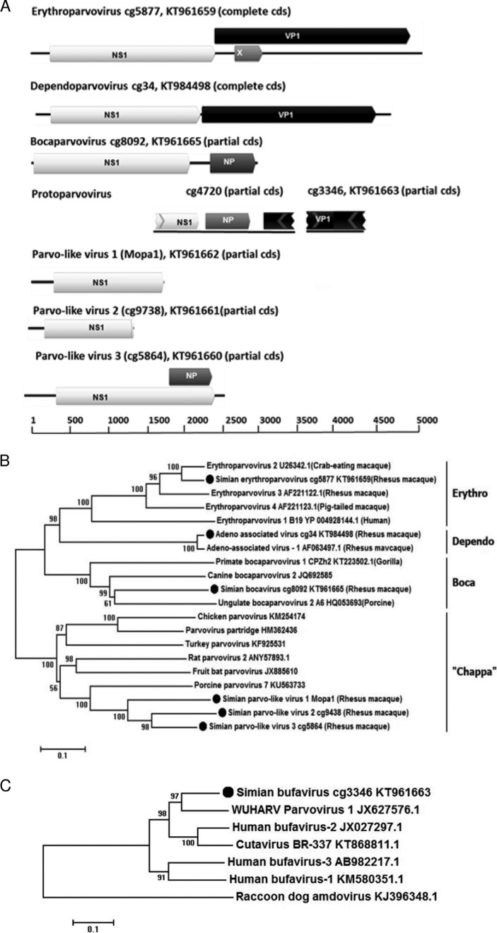 FIG 3