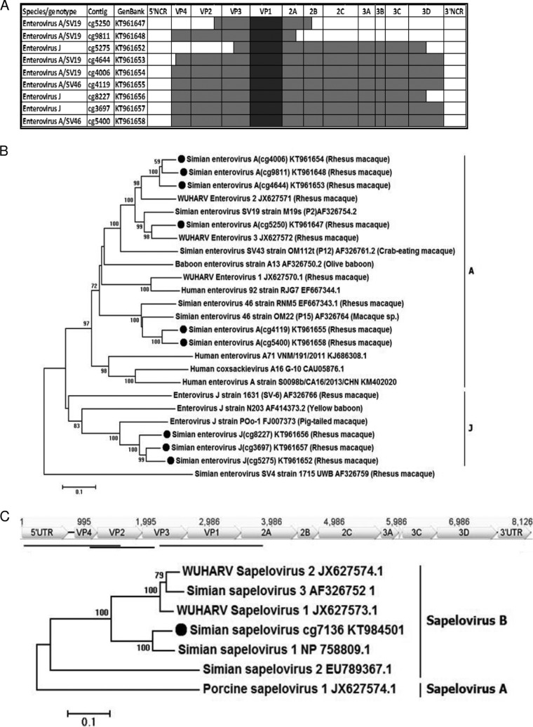 FIG 2