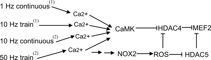 Fig. 10.