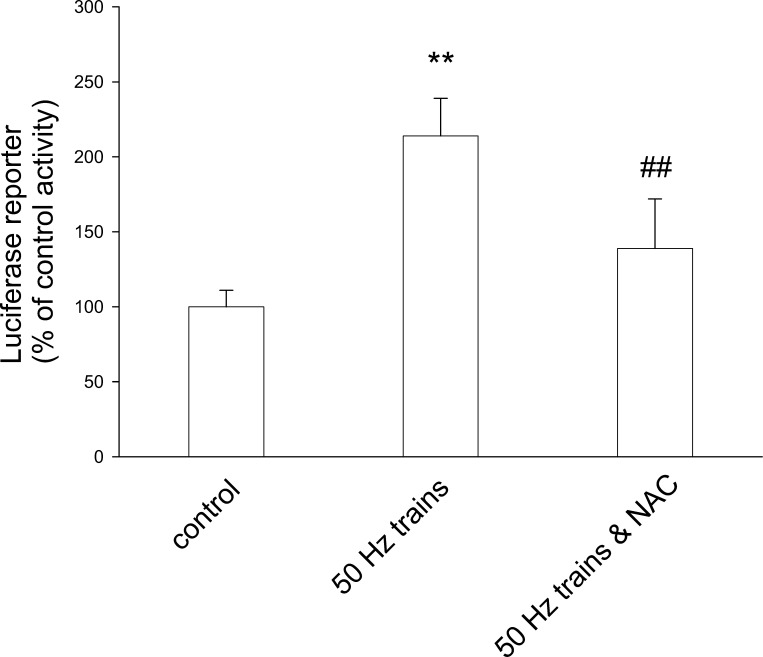 Fig. 9.