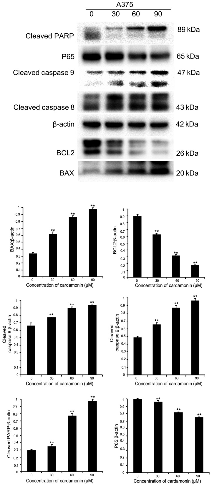 Figure 5.