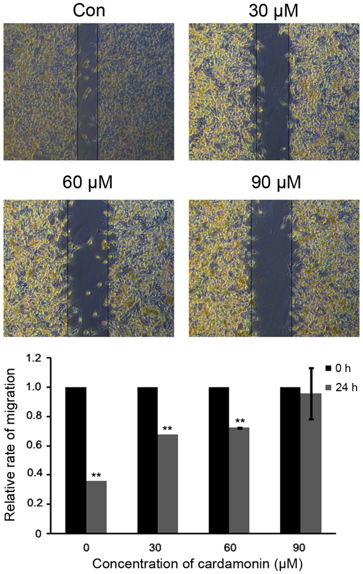 Figure 6.