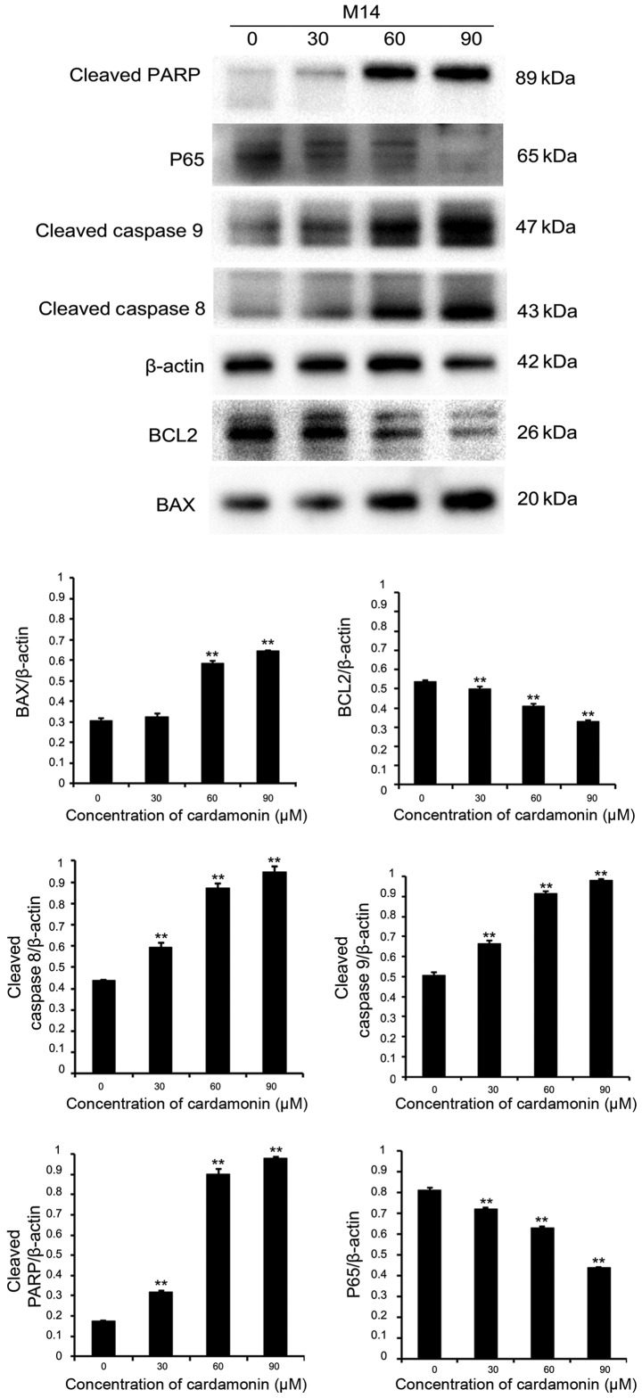 Figure 4.