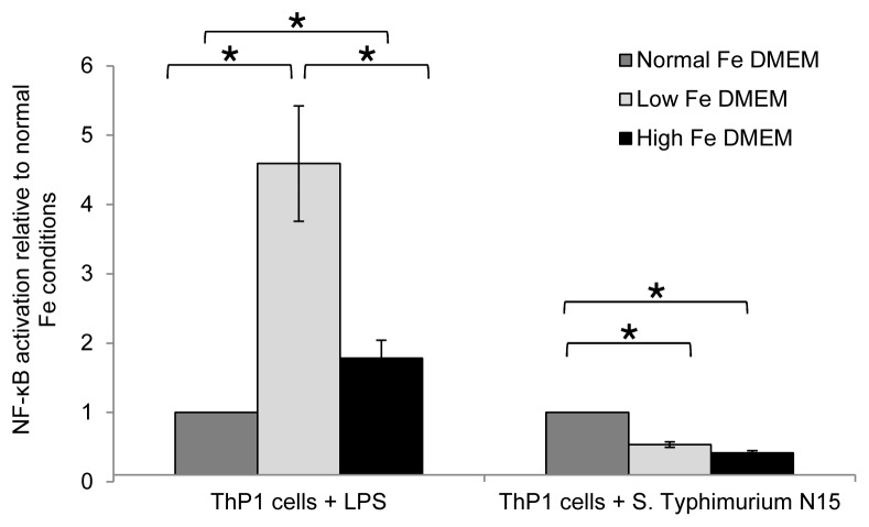 Figure 5