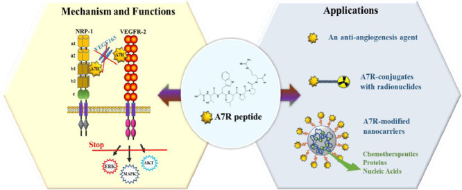 Image, graphical abstract