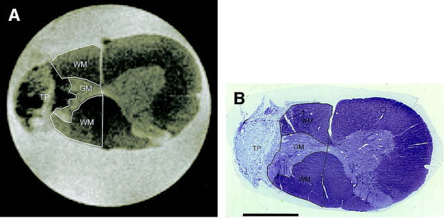 Fig 5.