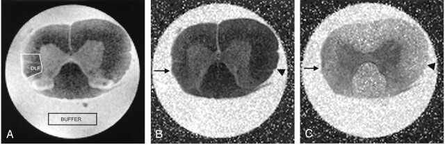 Fig 3.