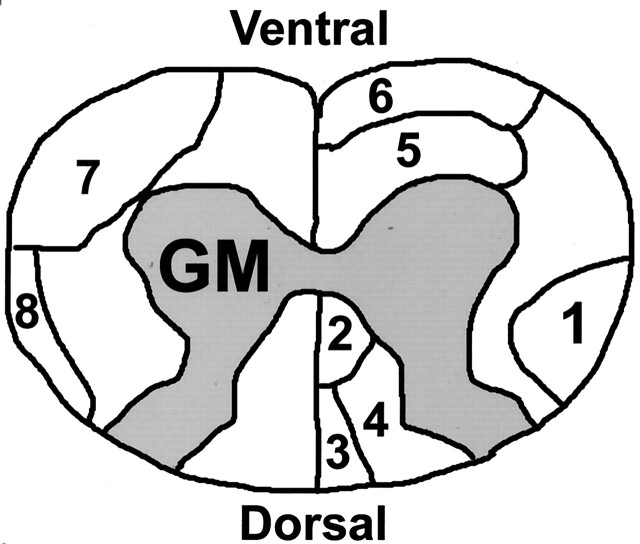 Fig 1.