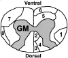 F<sc>ig</sc> 1.