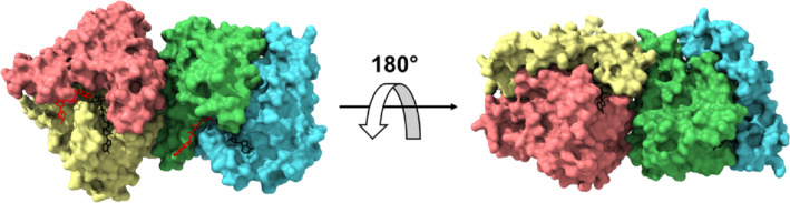 FIGURE 2