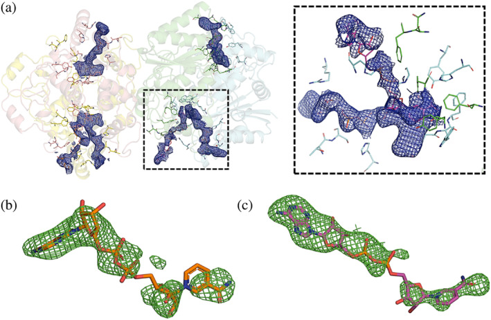 FIGURE 3