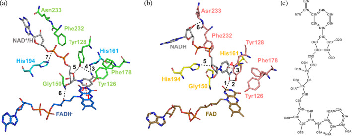 FIGURE 6