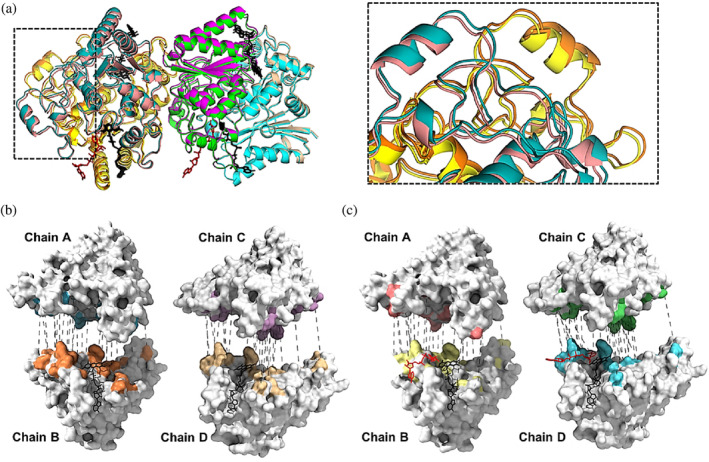 FIGURE 4