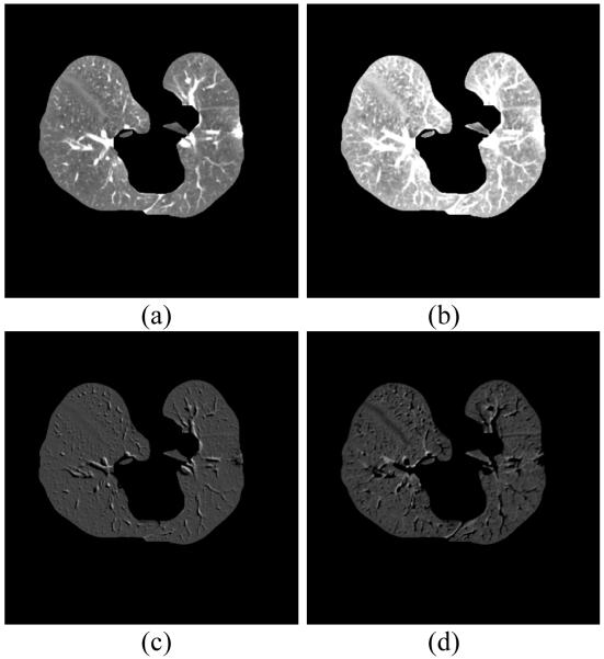 Fig. 8