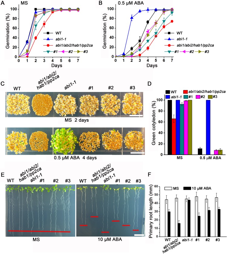 Fig 6