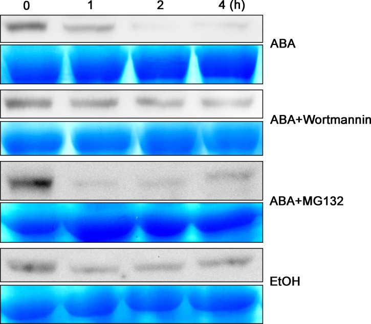 Fig 3