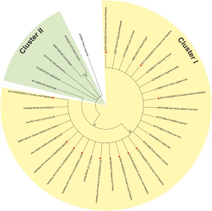 Fig 3