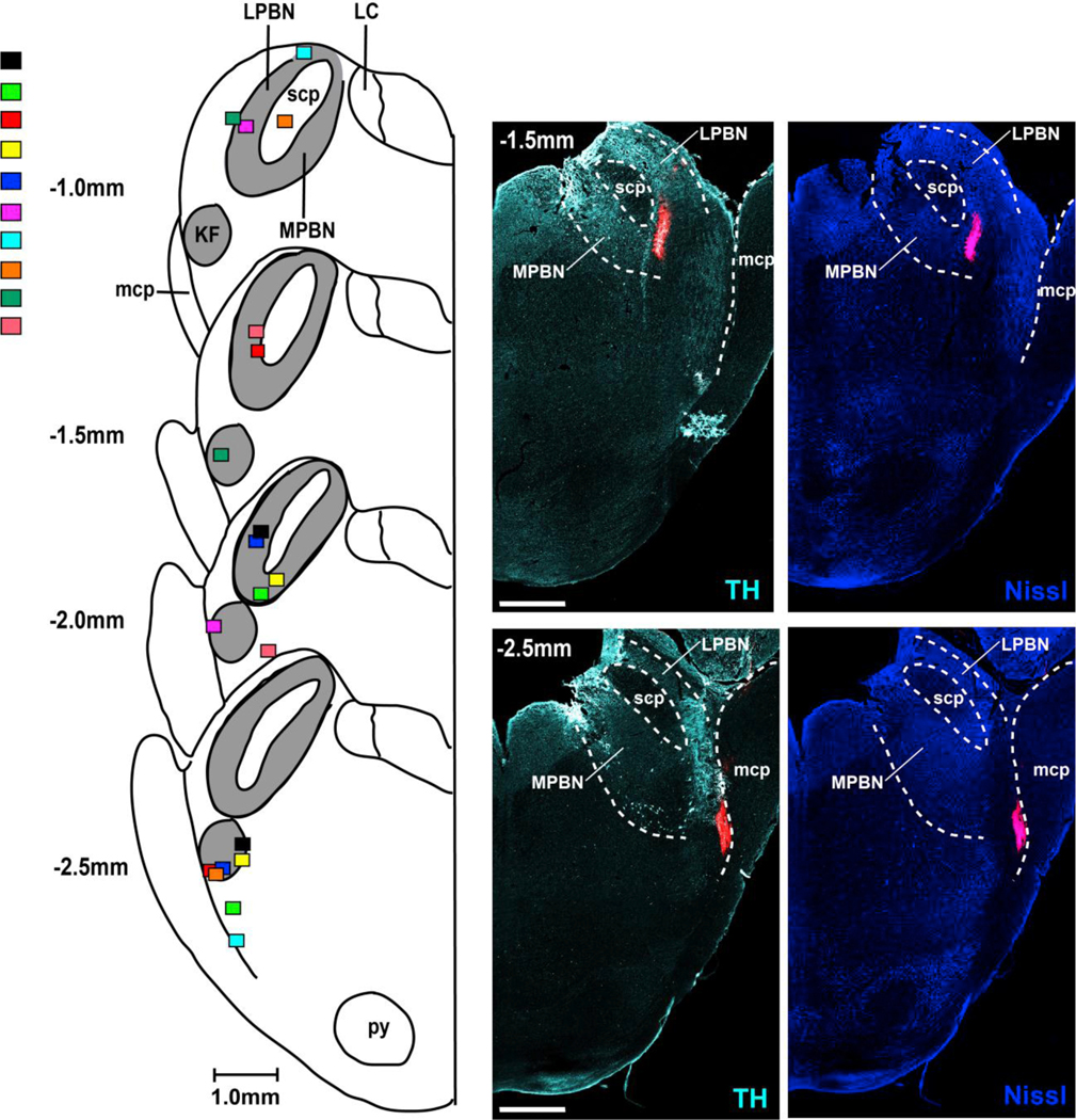 Figure 3: