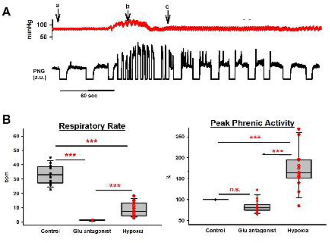 Figure 5: