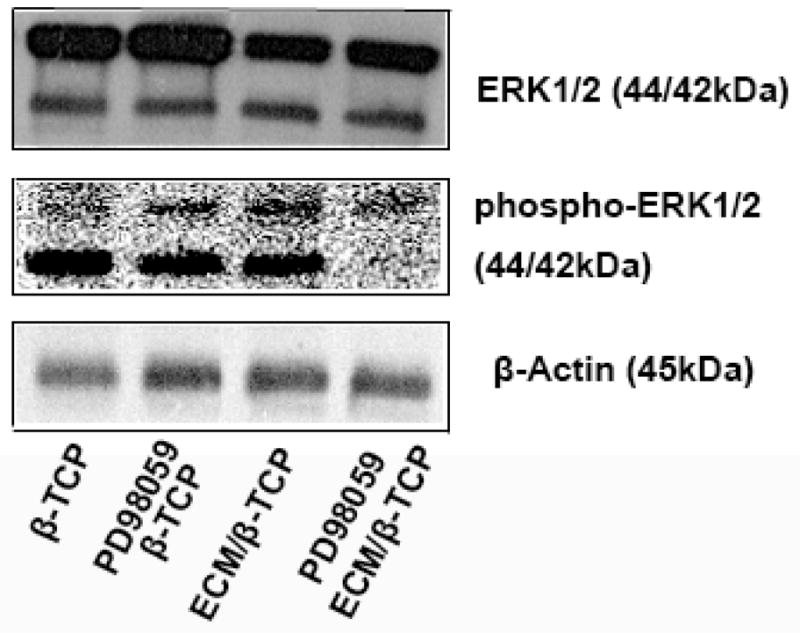 Fig. 11