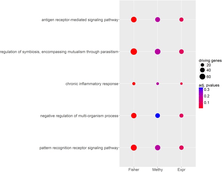 Fig 6