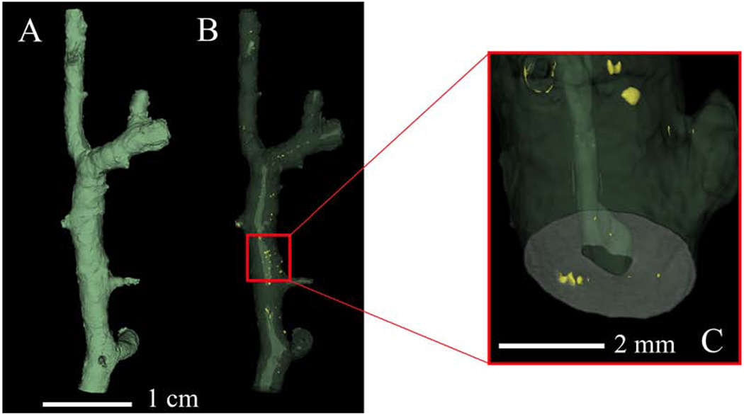 Figure 4: