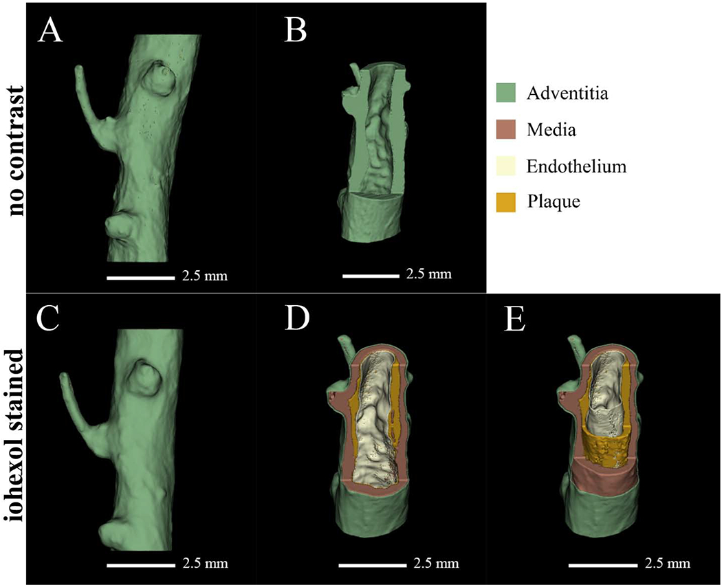 Figure 3: