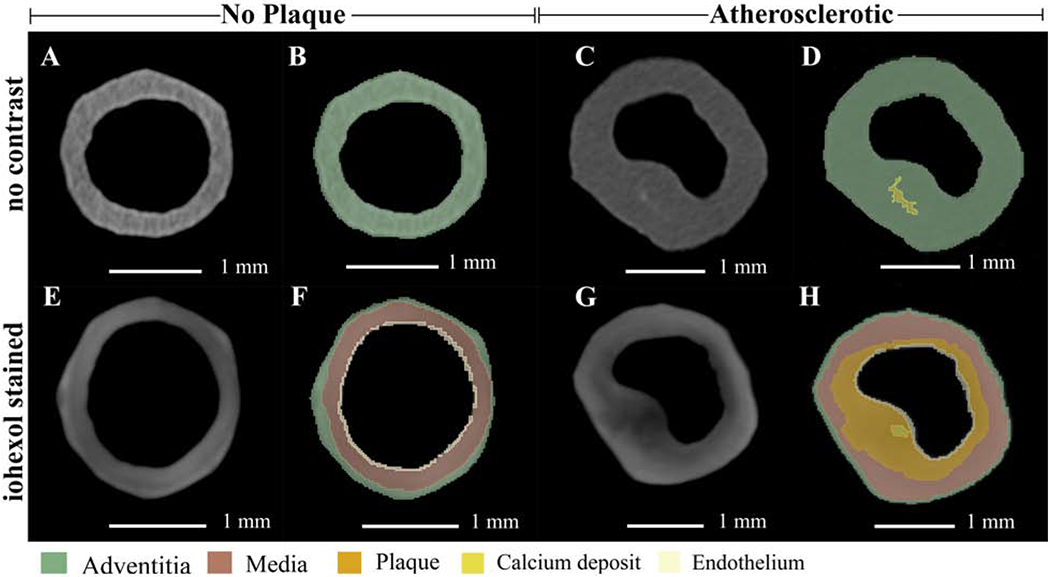 Figure 2: