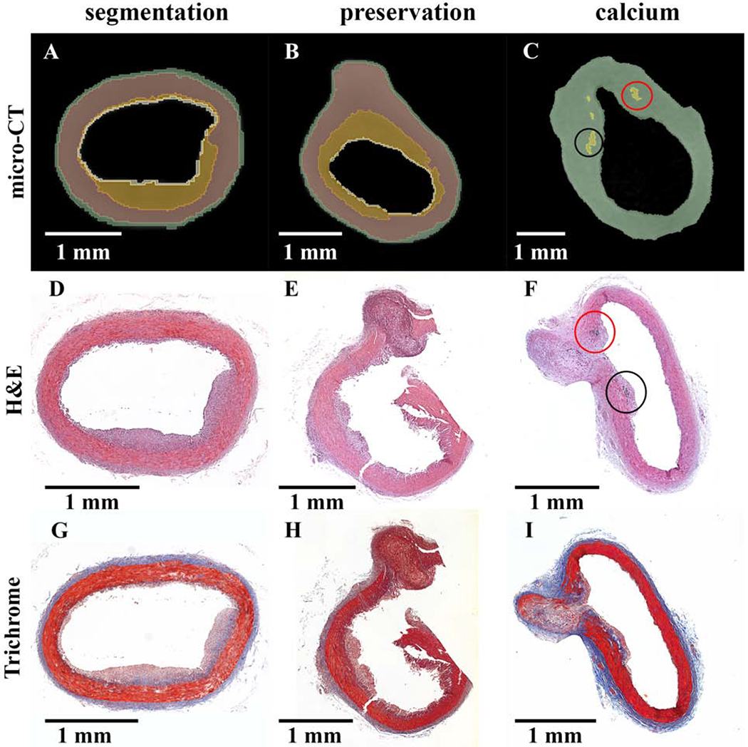 Figure 5: