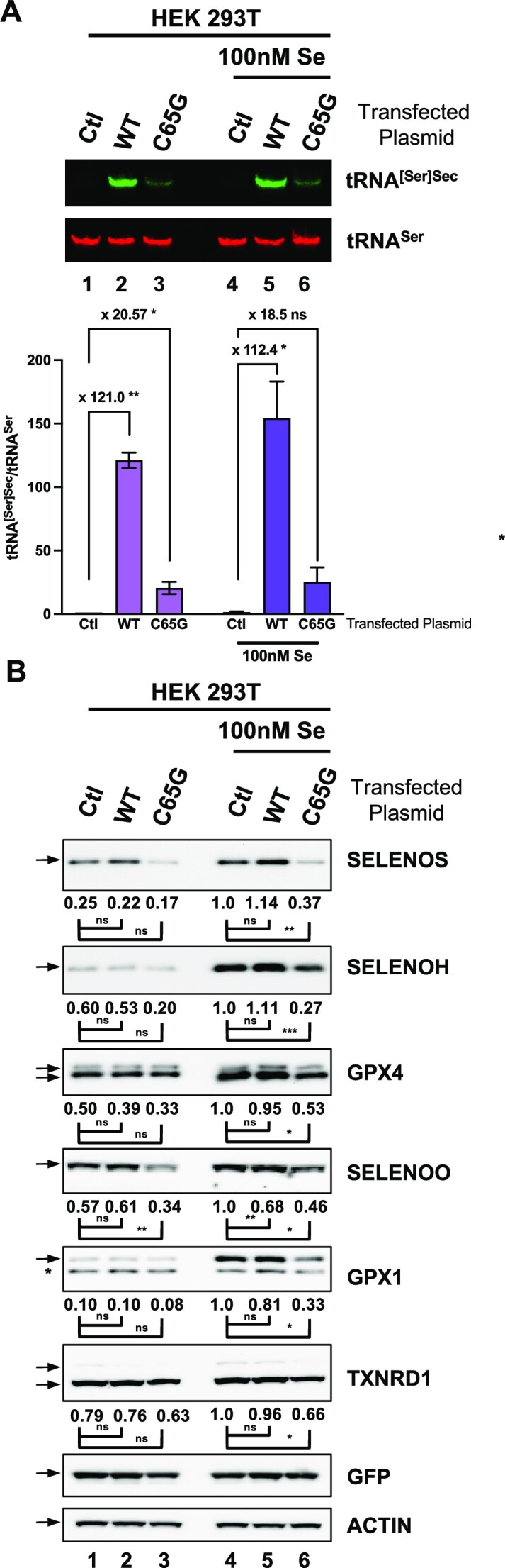 Figure 10.