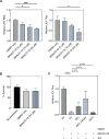 Fig 12