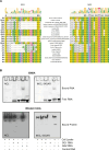 Fig 11