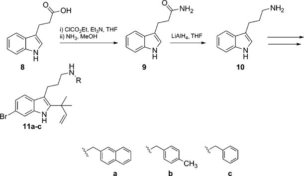 Scheme 2