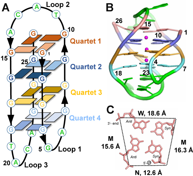 Figure 2.