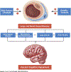 CENTRAL ILLUSTRATION