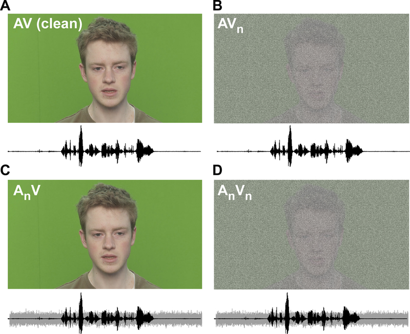 Figure 1: