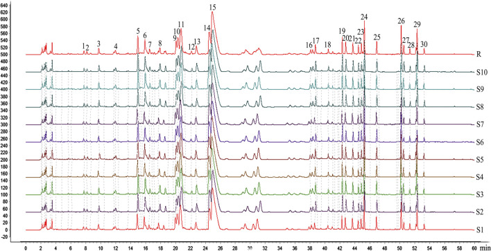 FIGURE 2