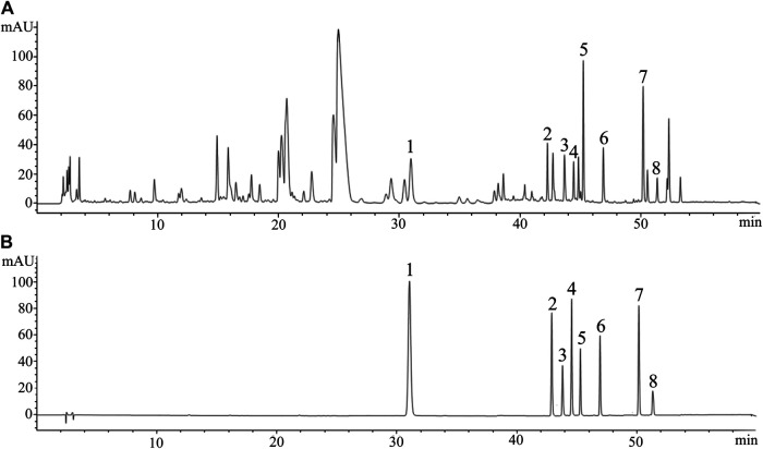 FIGURE 3