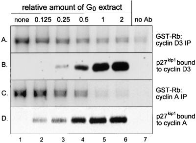 FIG. 6