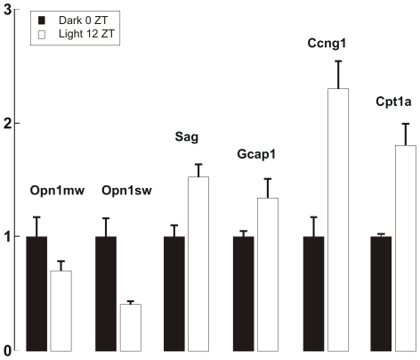 Figure 5