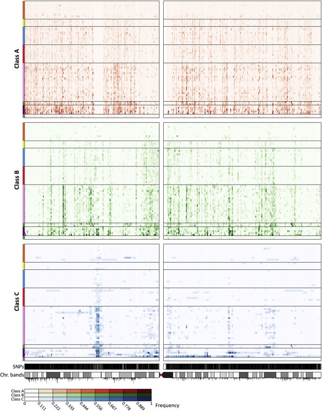 Figure 5